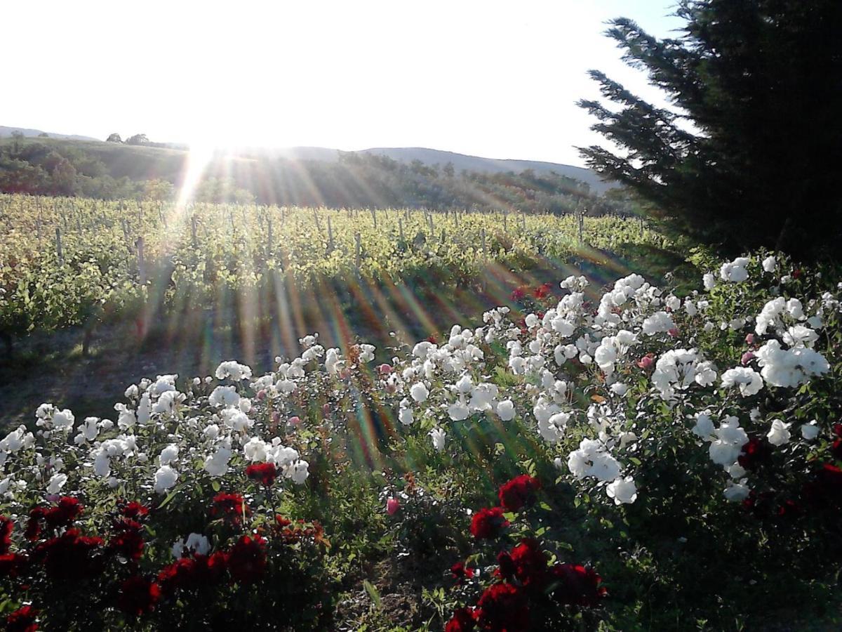 Agriturismo Fattoria il Piano - Appartamento Rosmarino - San Gimignano Esterno foto