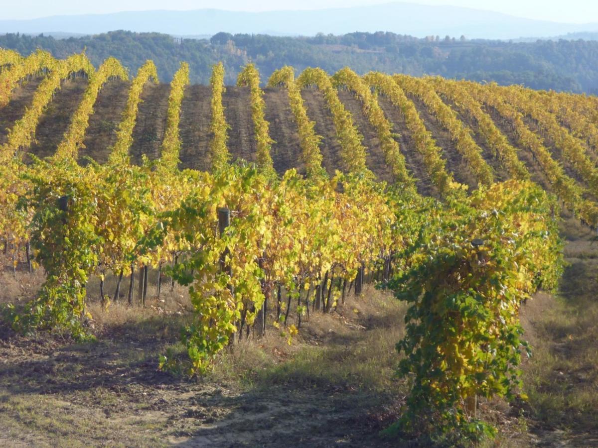 Agriturismo Fattoria il Piano - Appartamento Rosmarino - San Gimignano Esterno foto