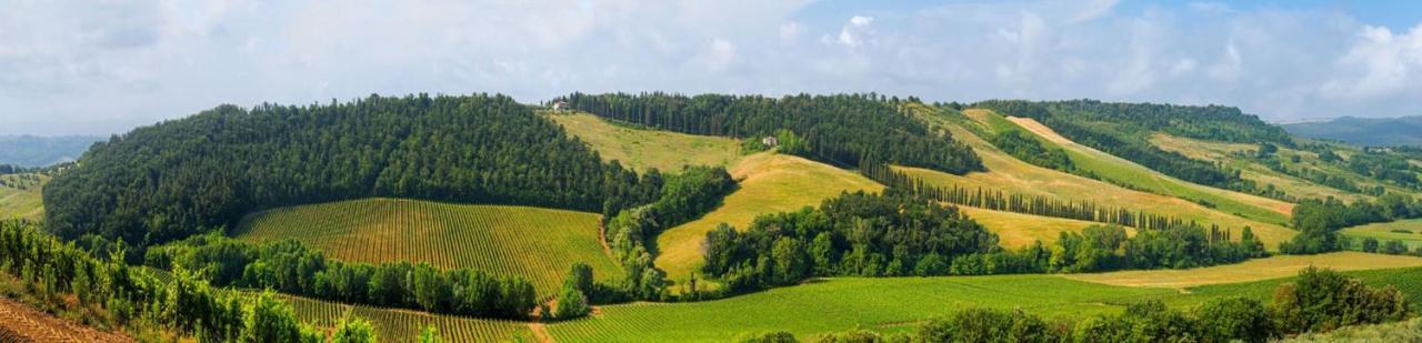 Agriturismo Fattoria il Piano - Appartamento Rosmarino - San Gimignano Esterno foto