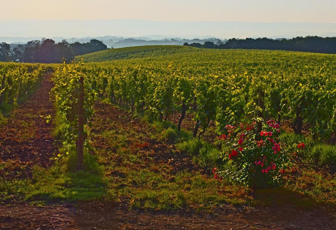 Agriturismo Fattoria il Piano - Appartamento Rosmarino - San Gimignano Esterno foto