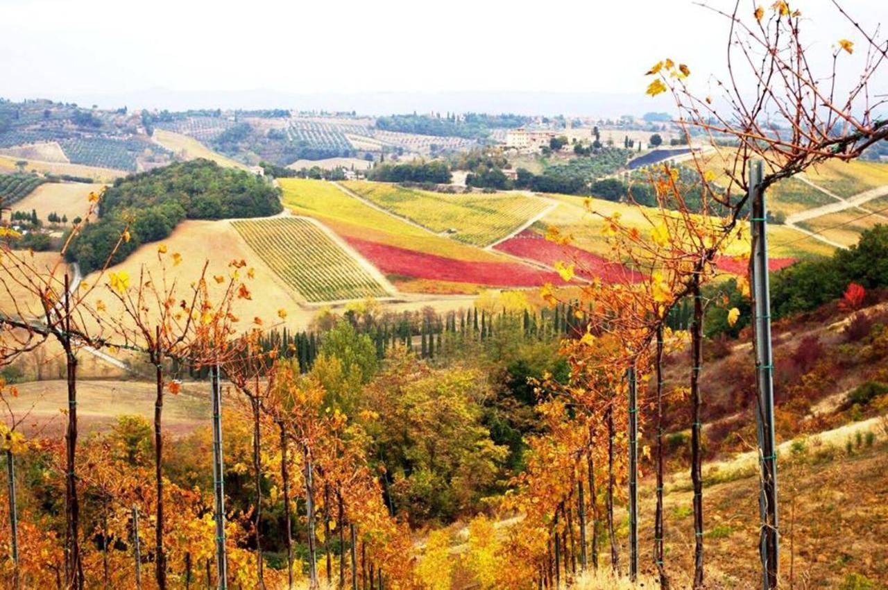 Agriturismo Fattoria il Piano - Appartamento Rosmarino - San Gimignano Esterno foto