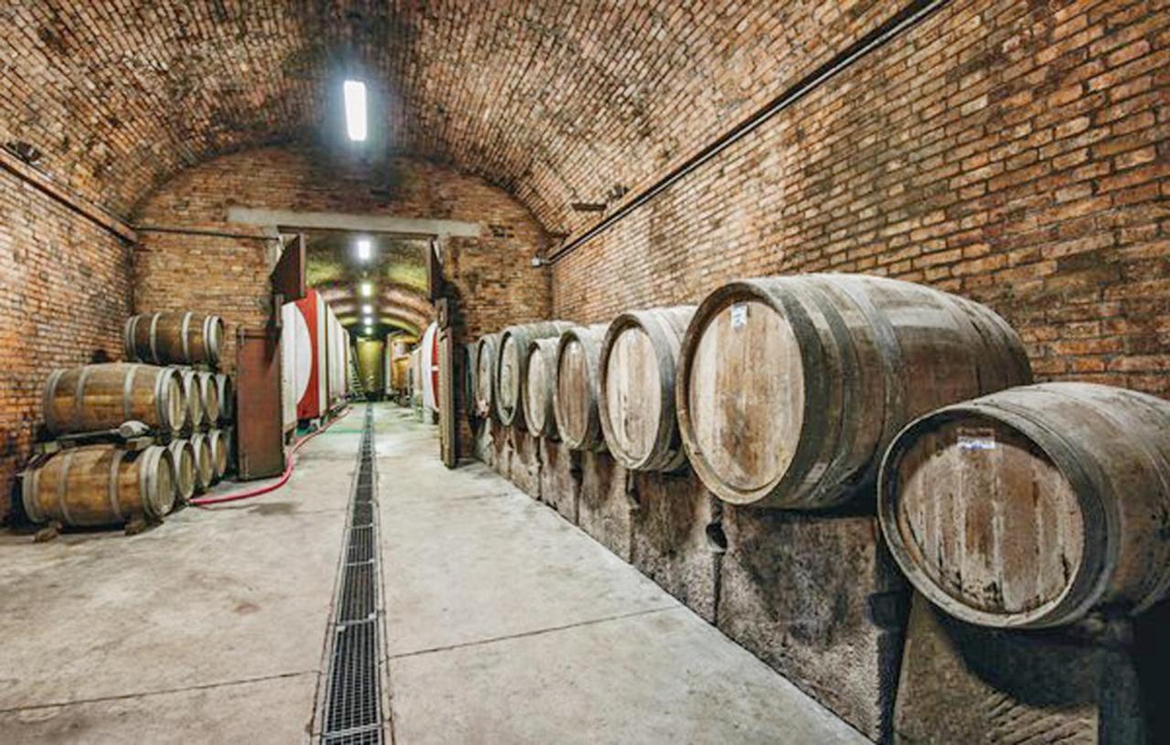 Agriturismo Fattoria il Piano - Appartamento Rosmarino - San Gimignano Esterno foto