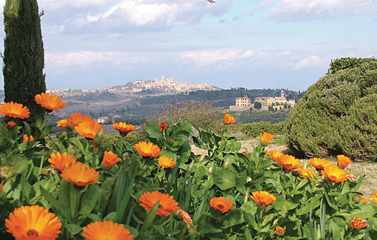 Agriturismo Fattoria il Piano - Appartamento Rosmarino - San Gimignano Esterno foto