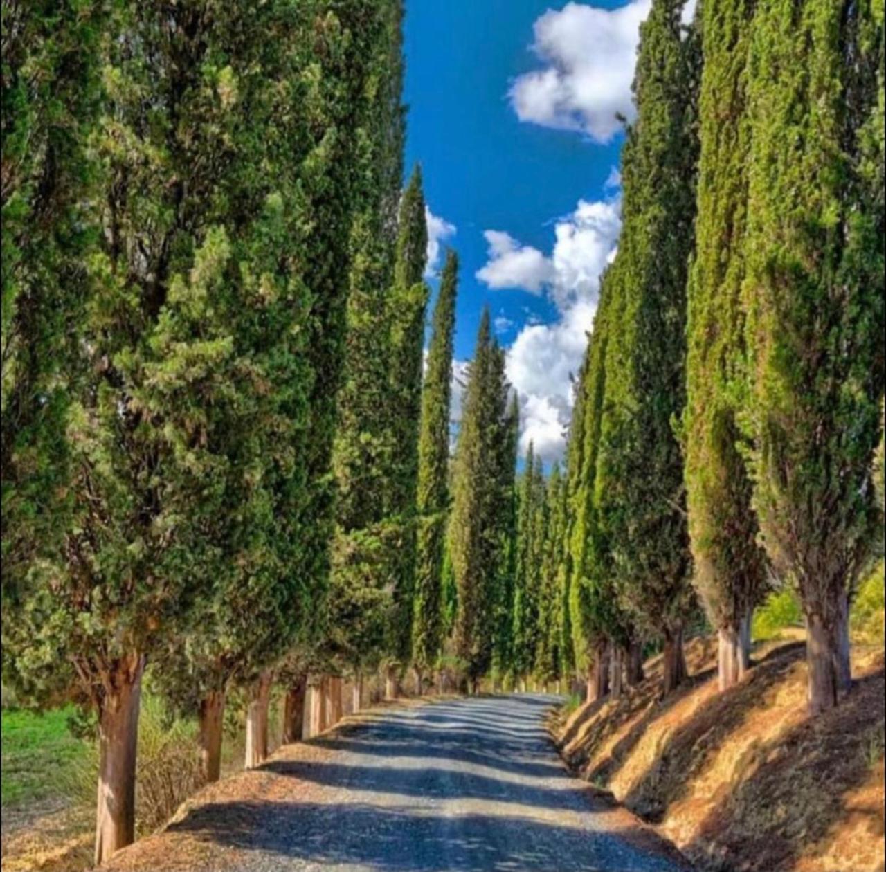 Agriturismo Fattoria il Piano - Appartamento Rosmarino - San Gimignano Camera foto